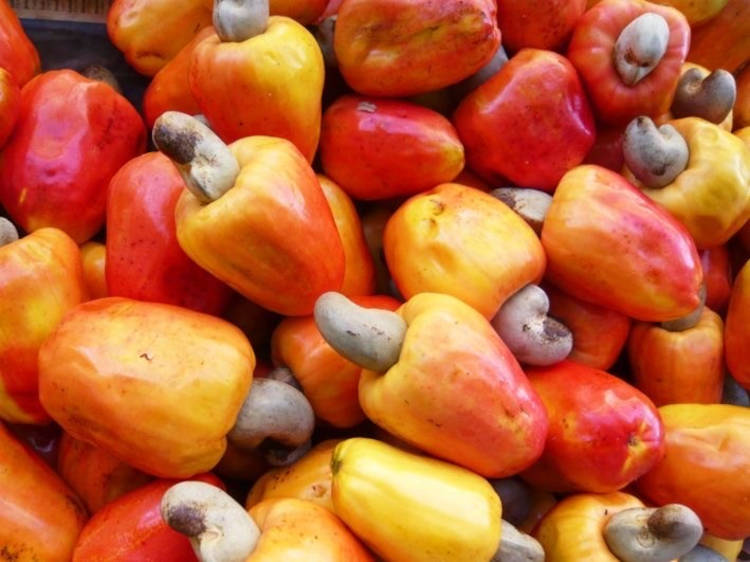 Guardião da Juventude: Como os Antioxidantes Desaceleram o Tempo na Sua Pele - inspiração 3