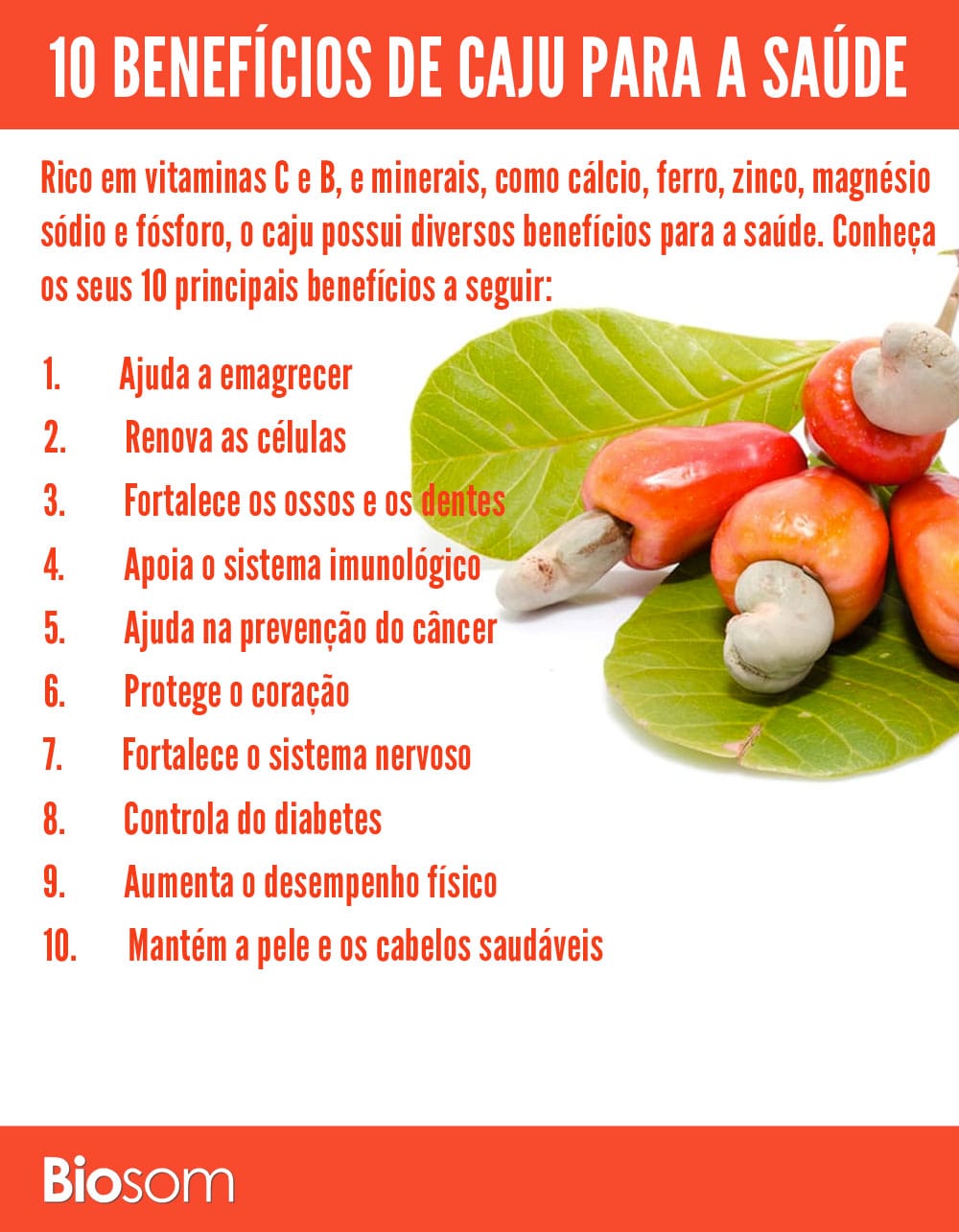 Hidratação e Sabor: A Versatilidade do Caju na Cozinha Saudável - inspiração 2