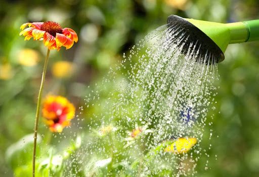 Dica de Ouro #3: A Temperatura da Água Faz Toda a Diferença - inspiração 1