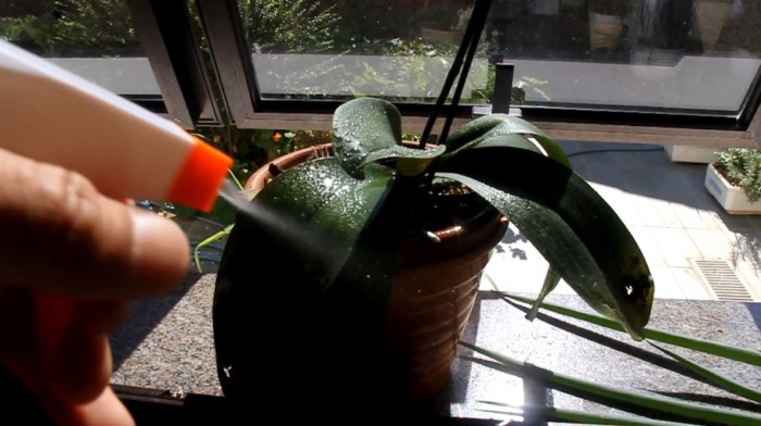 Dica de Ouro #5: Borrife com Moderação: Menos é Mais! - inspiração 1