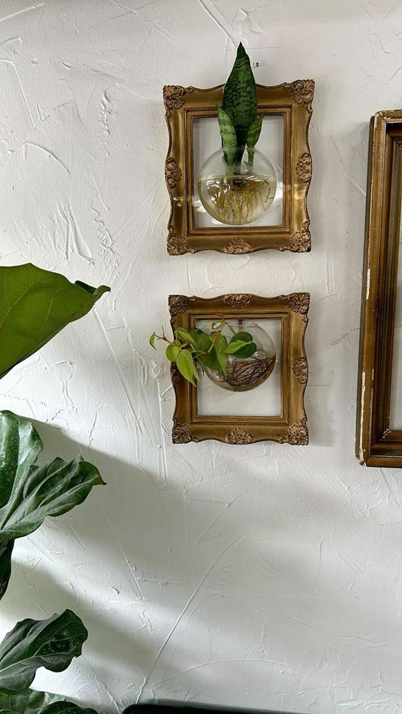 Dica de Ouro #8: Abrace a Adubação Foliar (com Cautela) - inspiração 1