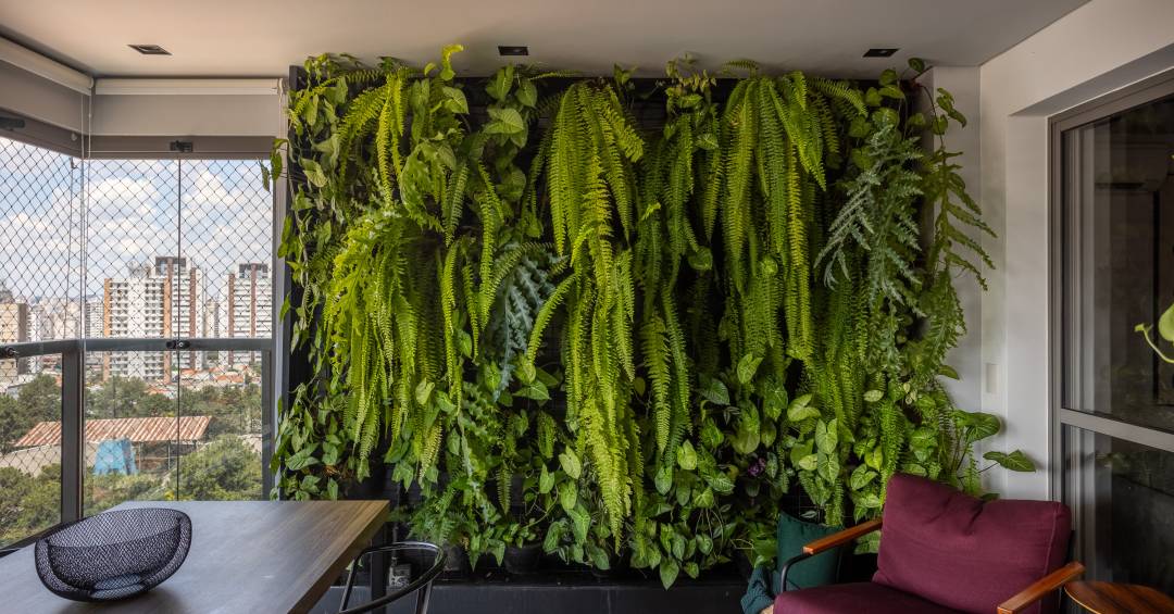 Dica de Ouro #9: Limpeza Regular é Fundamental - inspiração 1