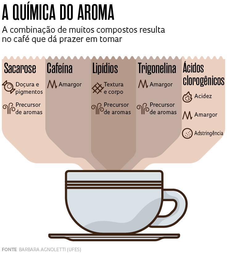 A Verdade Sobre o Encontro de Café e Ferro no Corpo - inspiração 1