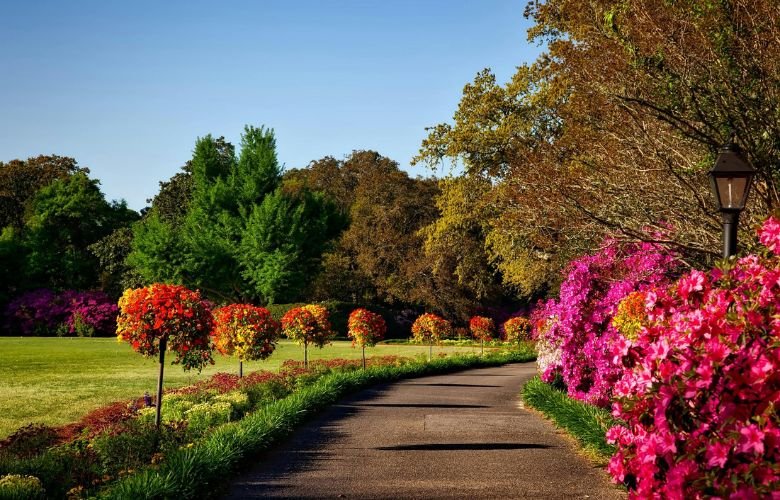 O Charme Rústico dos Tijolos: Padrões Clássicos e Durabilidade sem Igual - inspiração 1