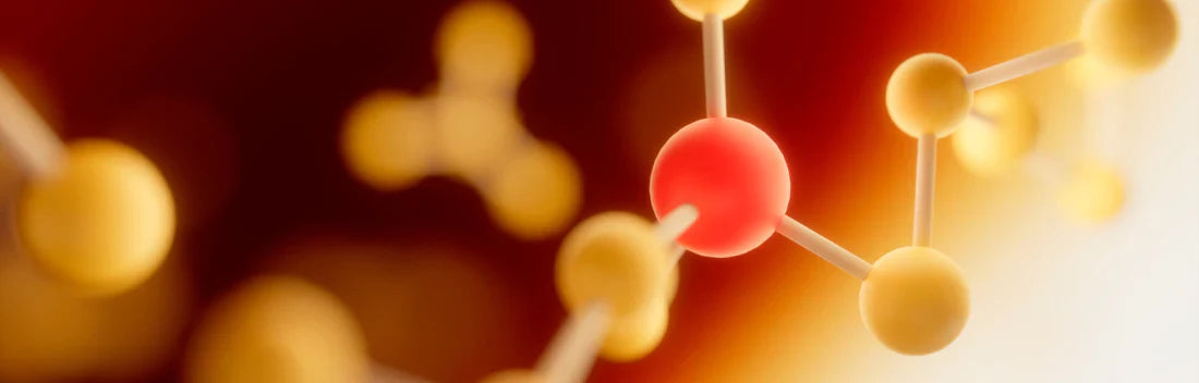 Apoio Feminino e Masculino: A Carnitina como Aliada para Equilíbrio Hormonal e Fertilidade - inspiração 1