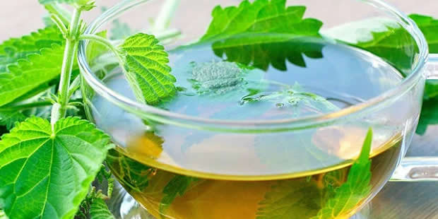 Mente Tranquila: Um Aliado Natural Contra o Estresse do Dia a Dia - inspiração 1