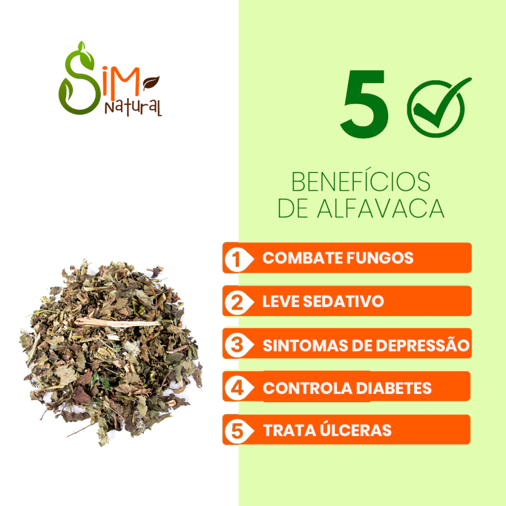 Imunidade Fortalecida: Dando um Empurrãozinho no Seu Escudo Protetor - inspiração 3