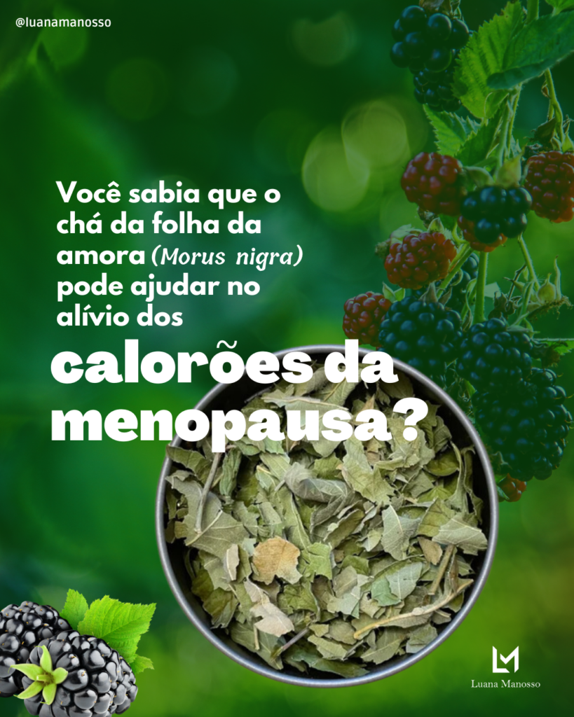 Como a amora age no seu corpo: o abraço gentil dos fitoestrógenos - inspiração 2