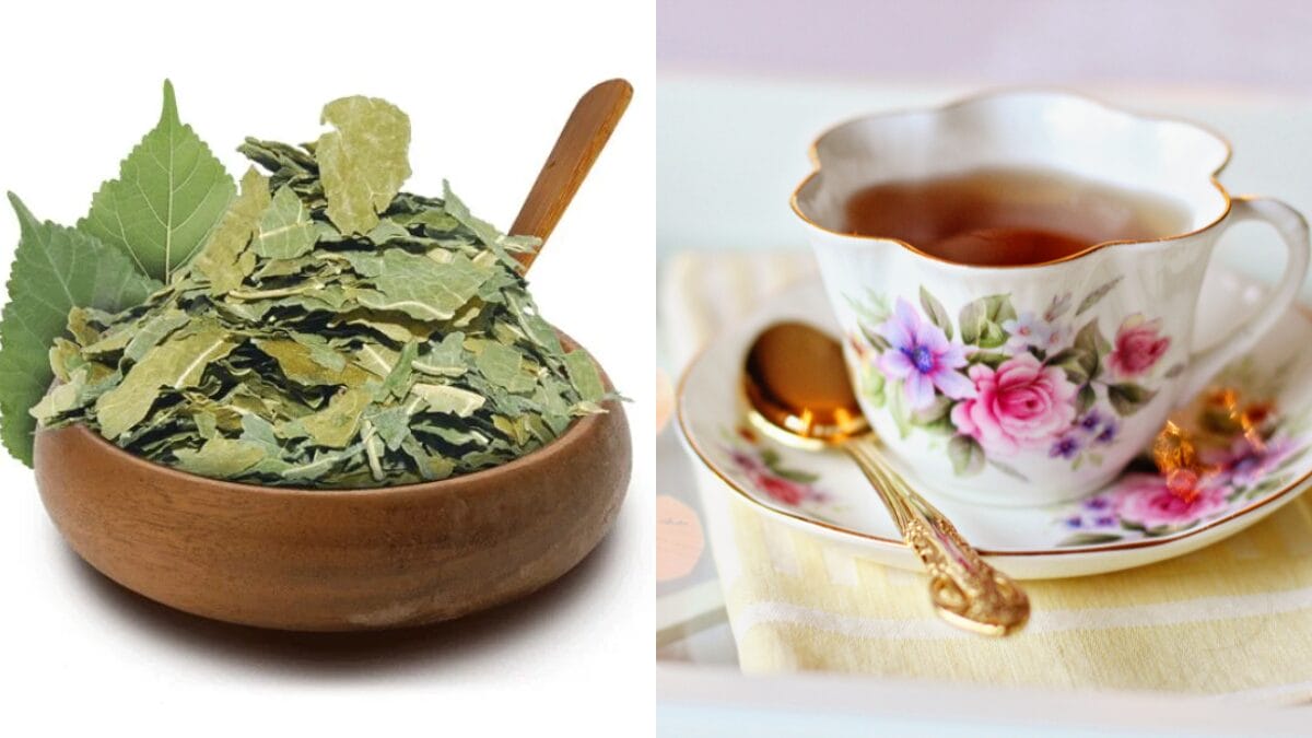 Preparo perfeito: receitinha de infusão para um bem-estar que você merece - inspiração 1