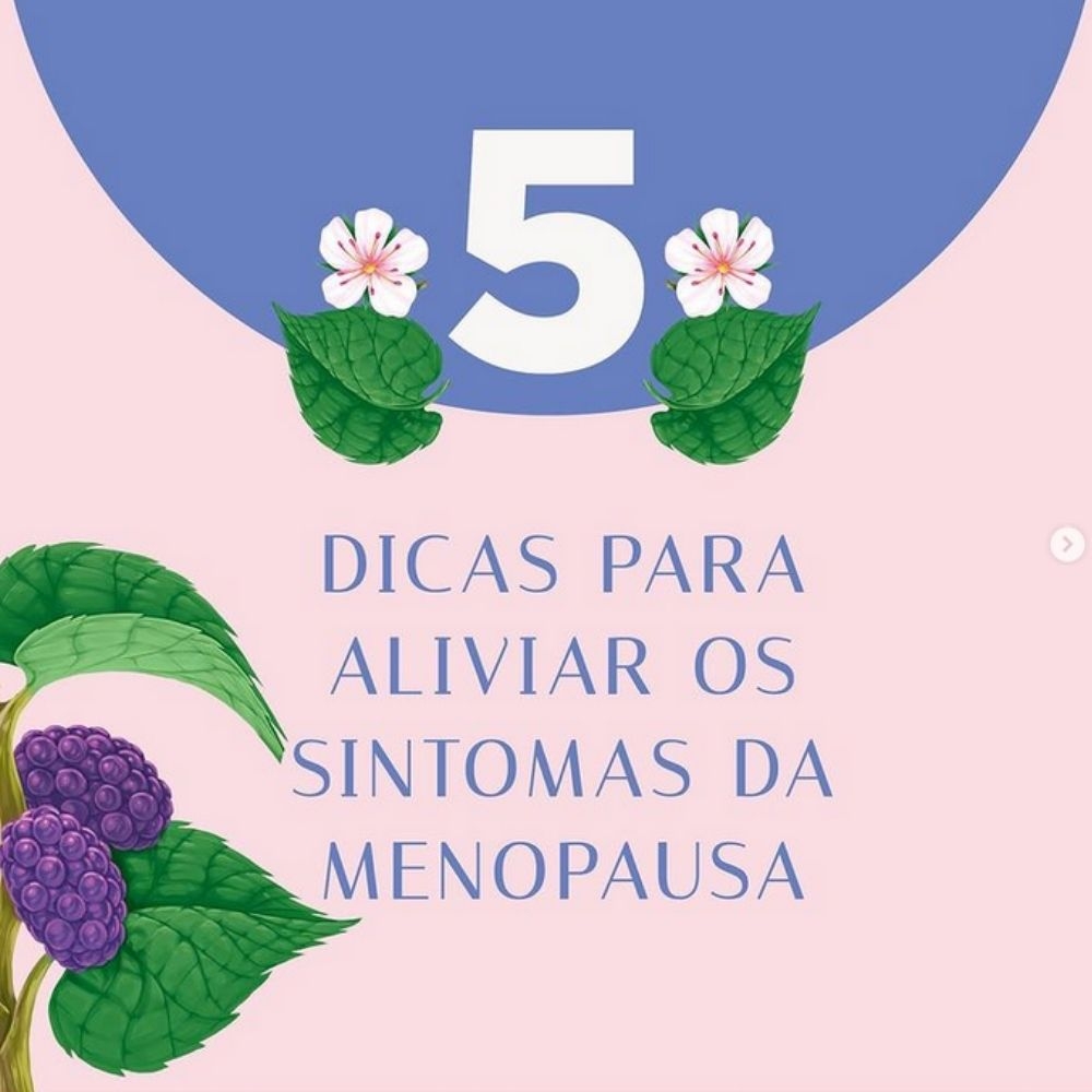 Mitos e verdades sobre o chá de amora na menopausa: desvendando o que realmente importa - inspiração 1