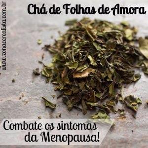 Outros benefícios da amoreira: muito além do calorão, um presente para sua saúde - inspiração 1