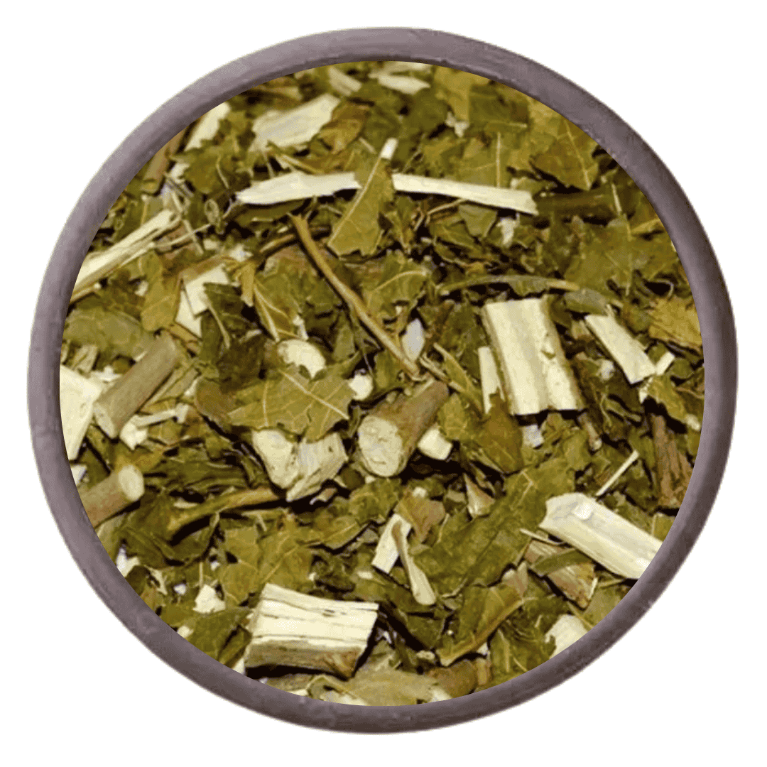 Outros benefícios da amoreira: muito além do calorão, um presente para sua saúde - inspiração 2