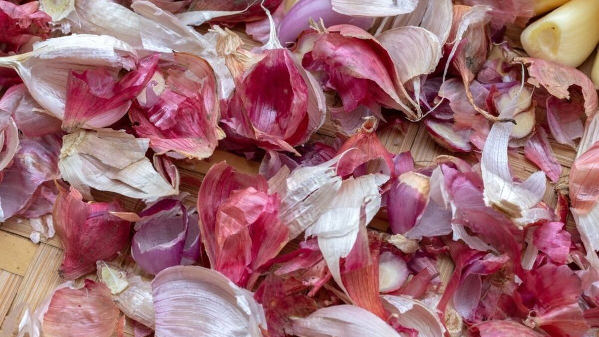 Um Escudo Natural para o seu Sistema Imunológico - inspiração 3