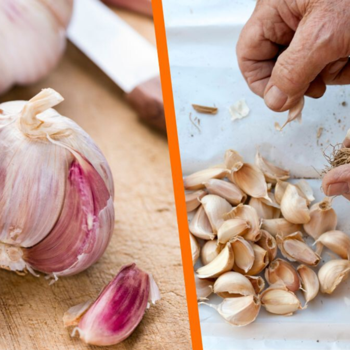 Coração Saudável: Amigo da Pressão e da Circulação - inspiração 1