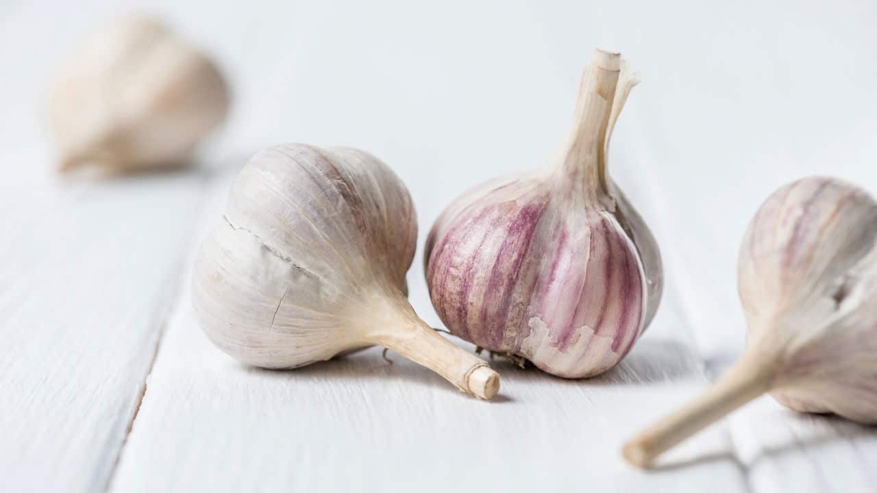 Intestino Feliz: O Poder das Fibras Prebióticas - inspiração 2