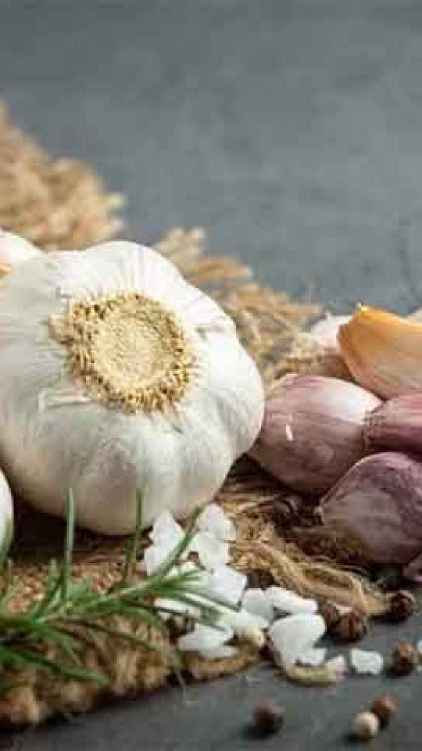 Pele Radiante: Combate ao Envelhecimento Celular - inspiração 2