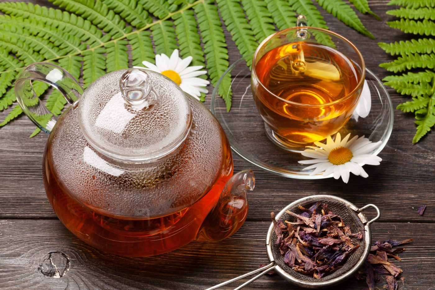 Dica de Ouro para a Saúde Renal: Alívio Natural para Cistite e Nefrite - inspiração 3