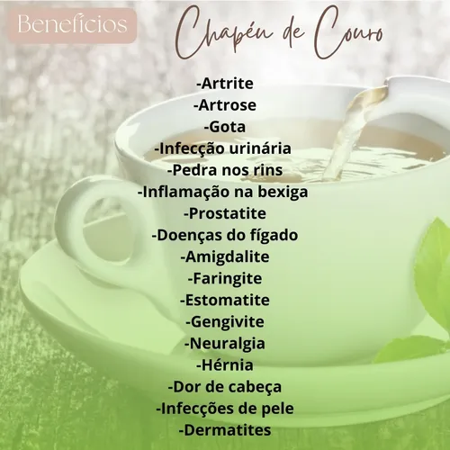 Xô, Ácido Úrico! Estratégias Naturais para Aliviar Gota e Artrite - inspiração 1