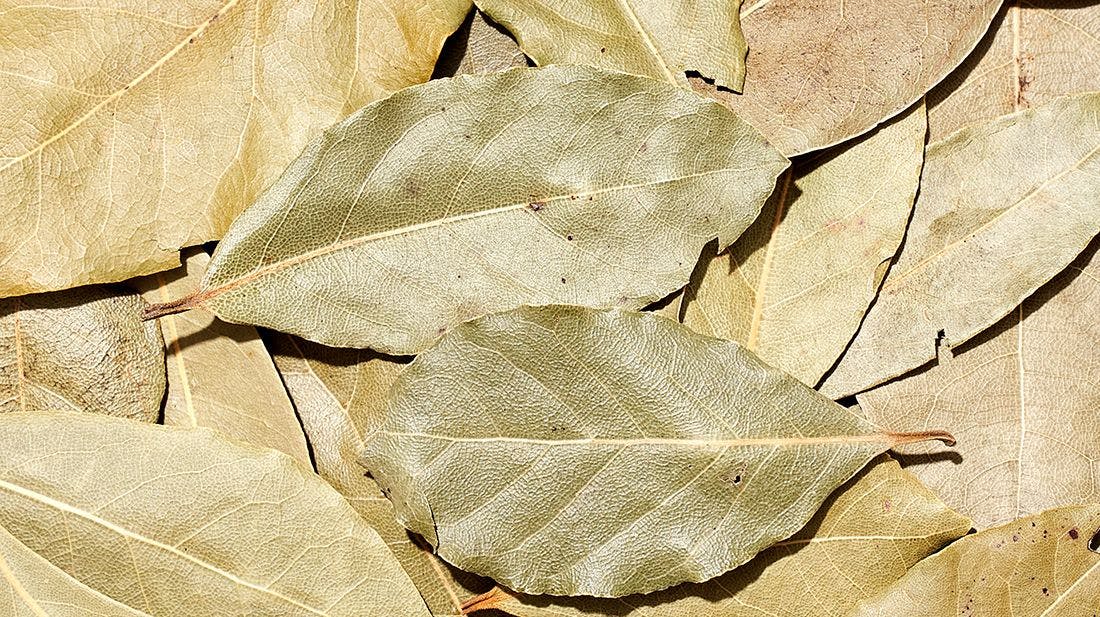 Alívio para Cólicas Menstruais: Um Conforto Natural para os Dias Difíceis - inspiração 2