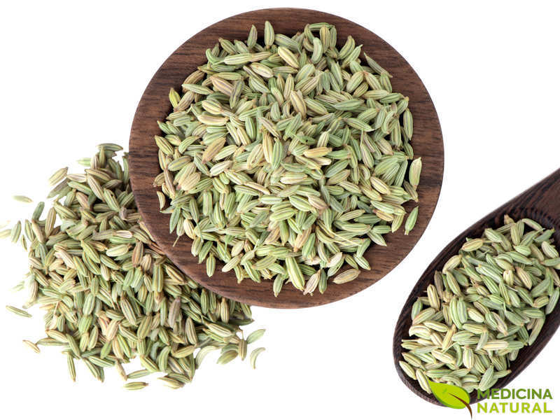 Digestão Leve: Adeus, Azia e Desconforto! - inspiração 3