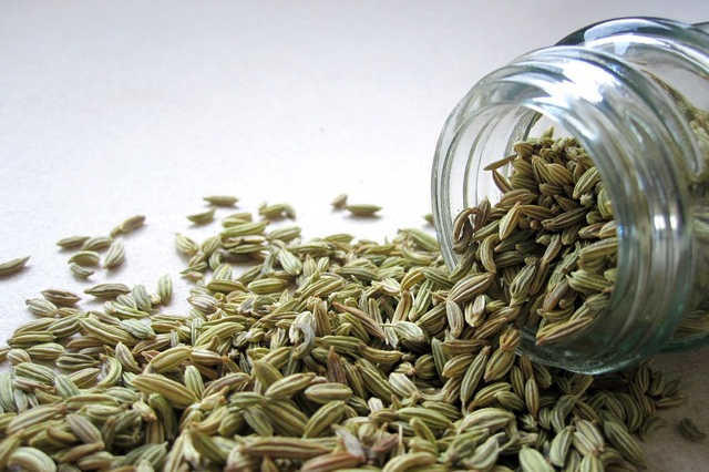 Funcho x Erva-Doce: A Diferença que Faz Bem - inspiração 1