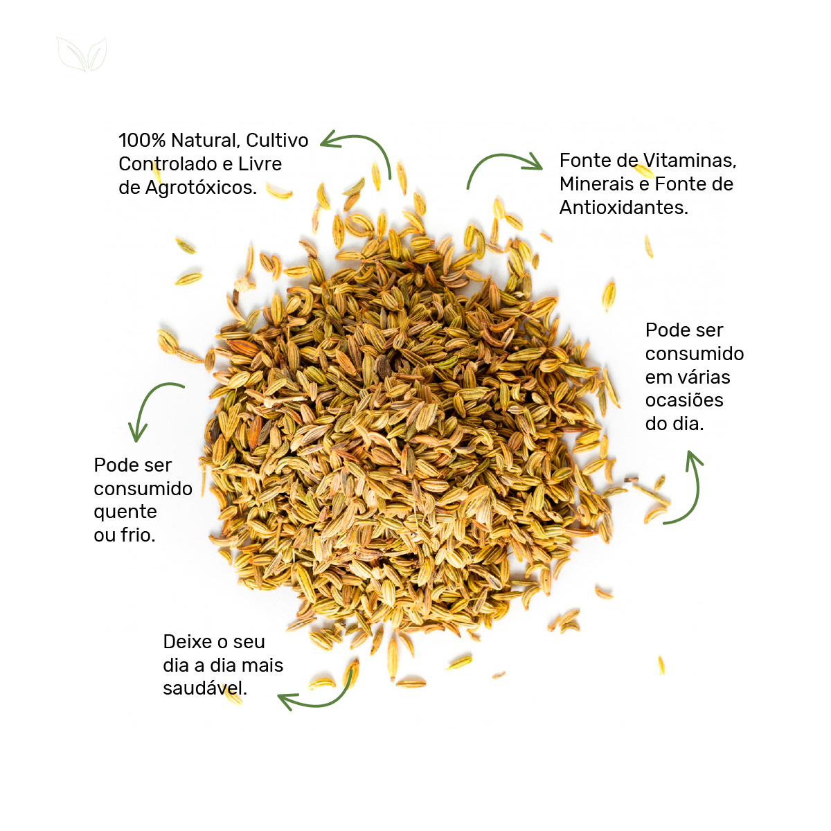 Funcho x Erva-Doce: A Diferença que Faz Bem - inspiração 3