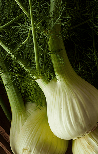 Apoio na Amamentação: Mais Leite para o seu Bebê - inspiração 2