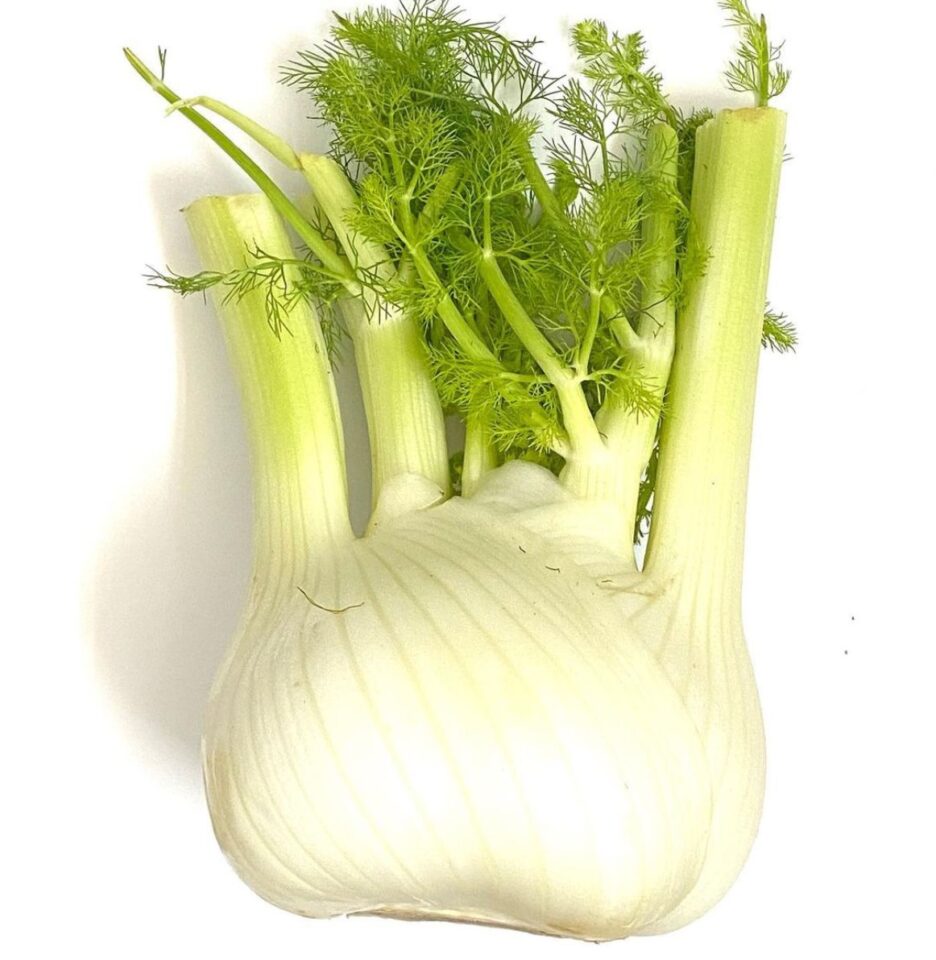 Cuidados Essenciais: Atenção às Contraindicações - inspiração 2