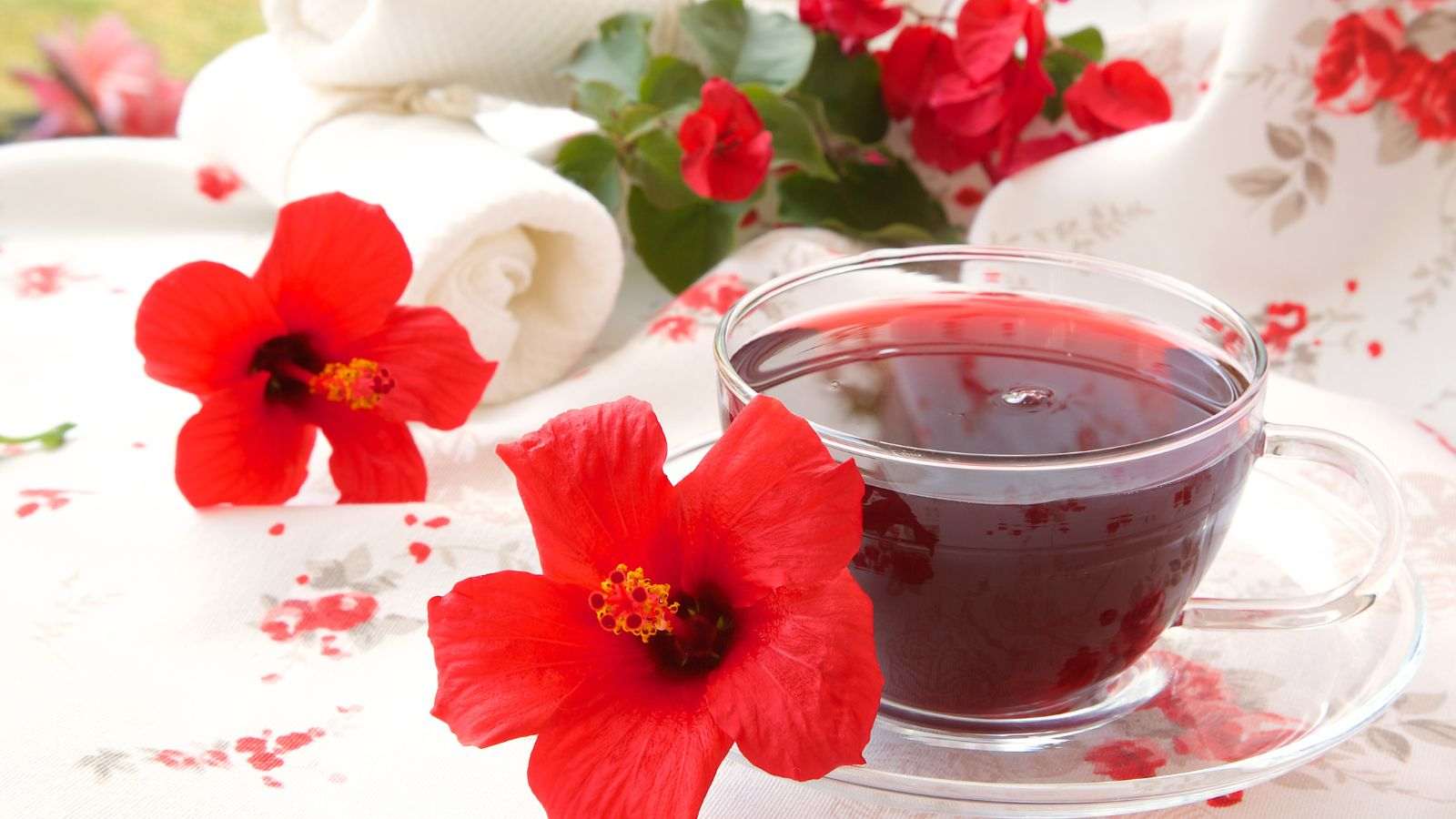O Solo Ideal: Prepare a Terra para o Sucesso do Seu Pé de Hibisco - inspiração 1