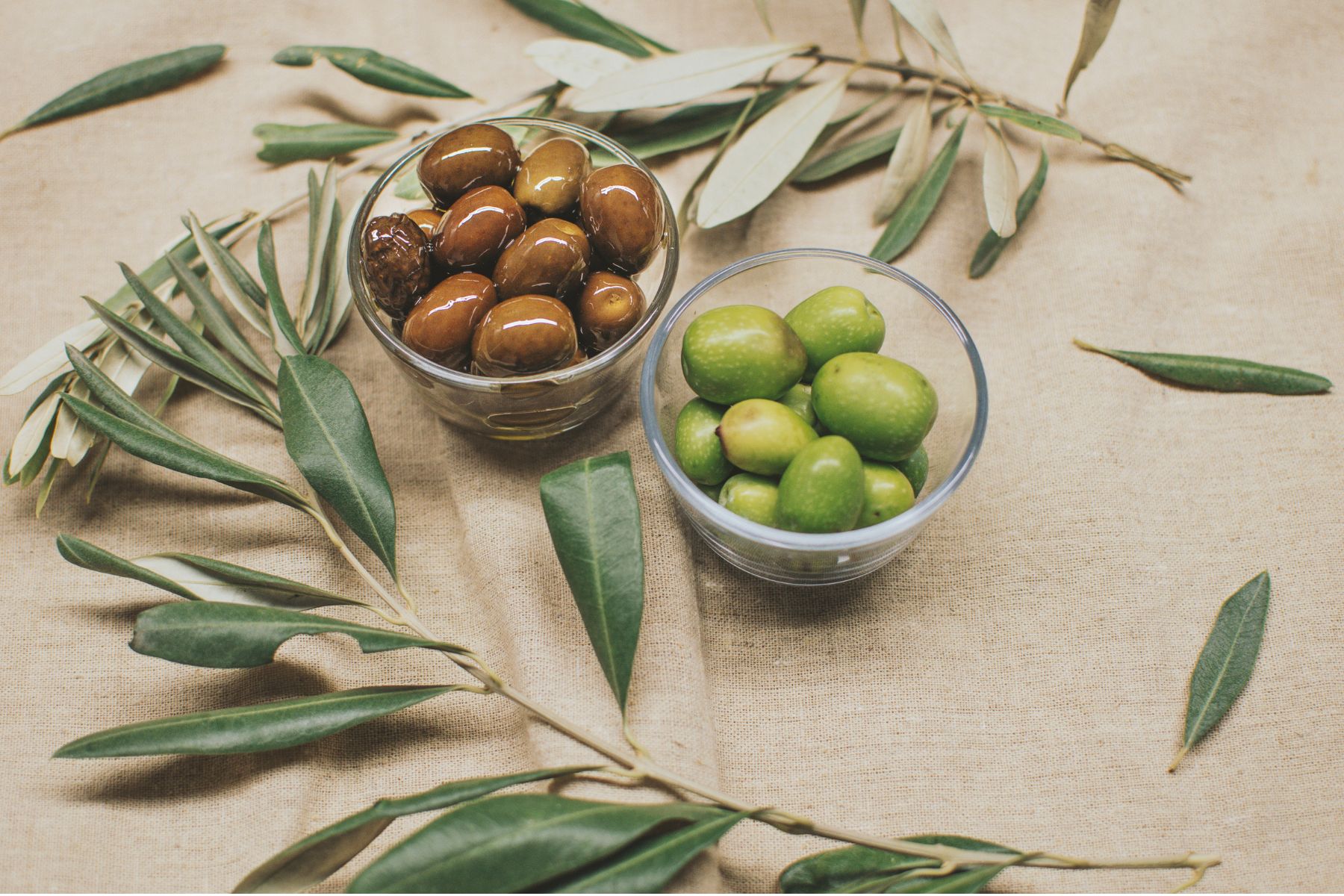 Dica de Ouro: Chá de Oliveira para um Coração Feliz - inspiração 3