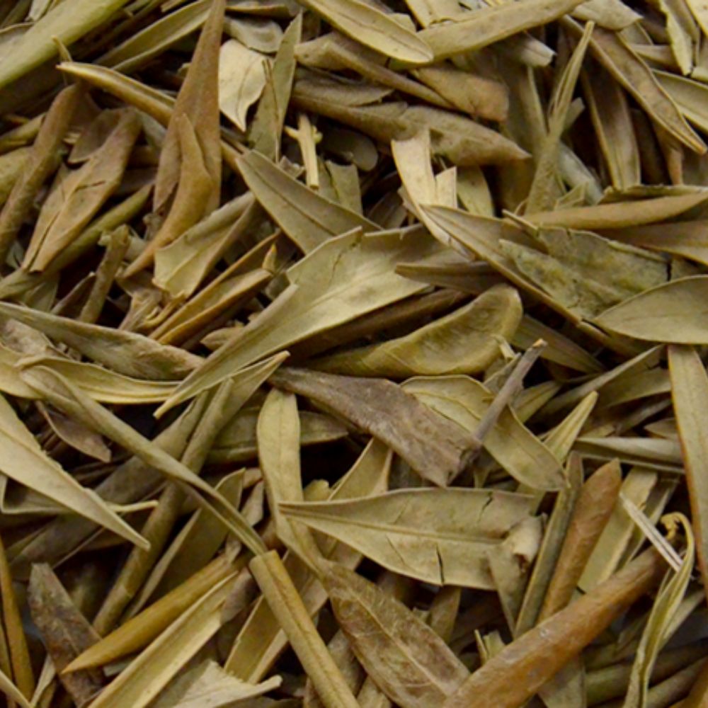 Chá de Oliveira no Combate à Glicose Alta: Um Aliado Natural - inspiração 3