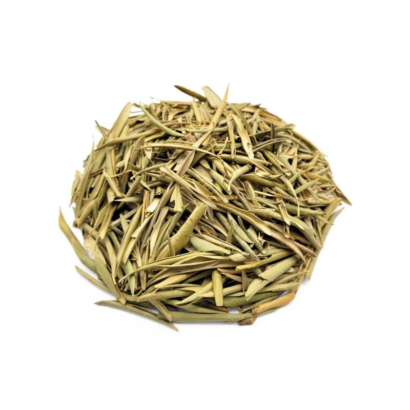 Como o Chá de Oliveira Pode Ser Seu Parceiro no Emagrecimento Saudável - inspiração 1