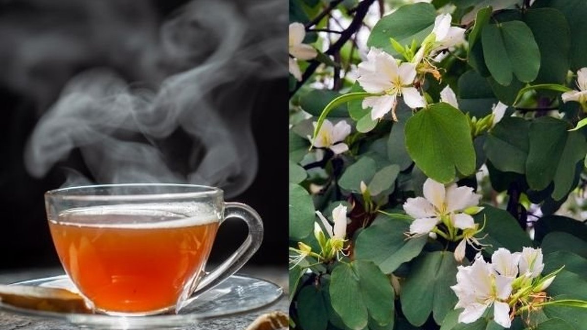 Controle Glicêmico Natural: Uma alternativa para o dia a dia - inspiração 2