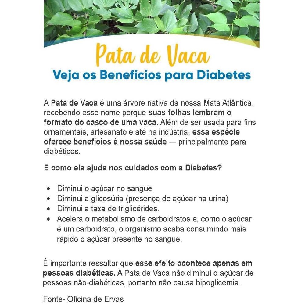 Aliado do Coração: Como ele atua na saúde cardiovascular - inspiração 3
