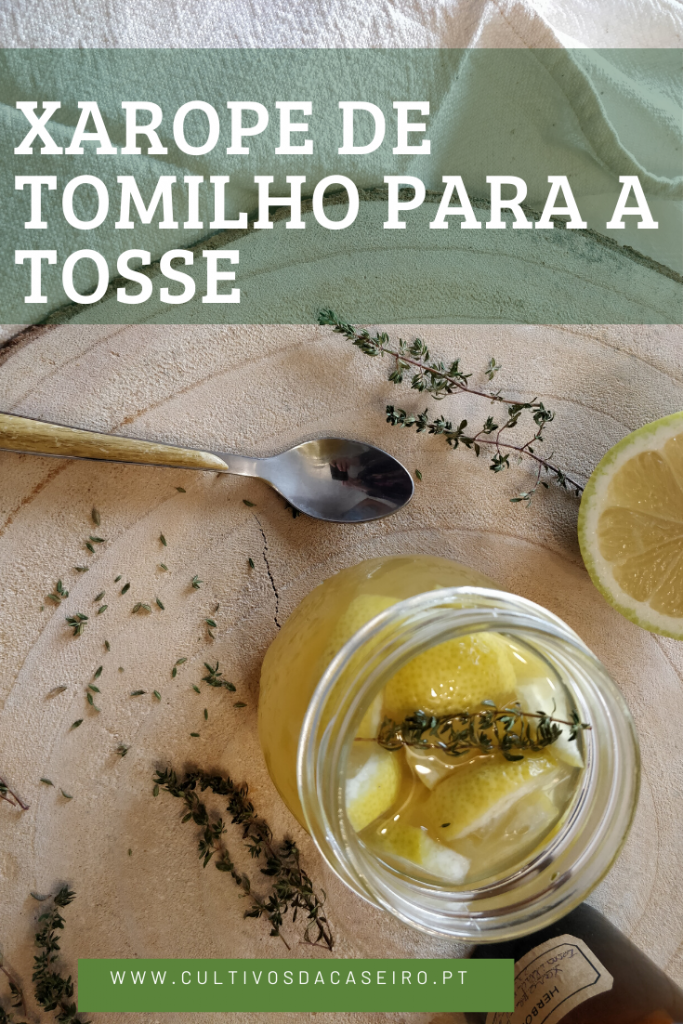 Erros Comuns: Evite Ferver o Tomilho Diretamente - inspiração 1