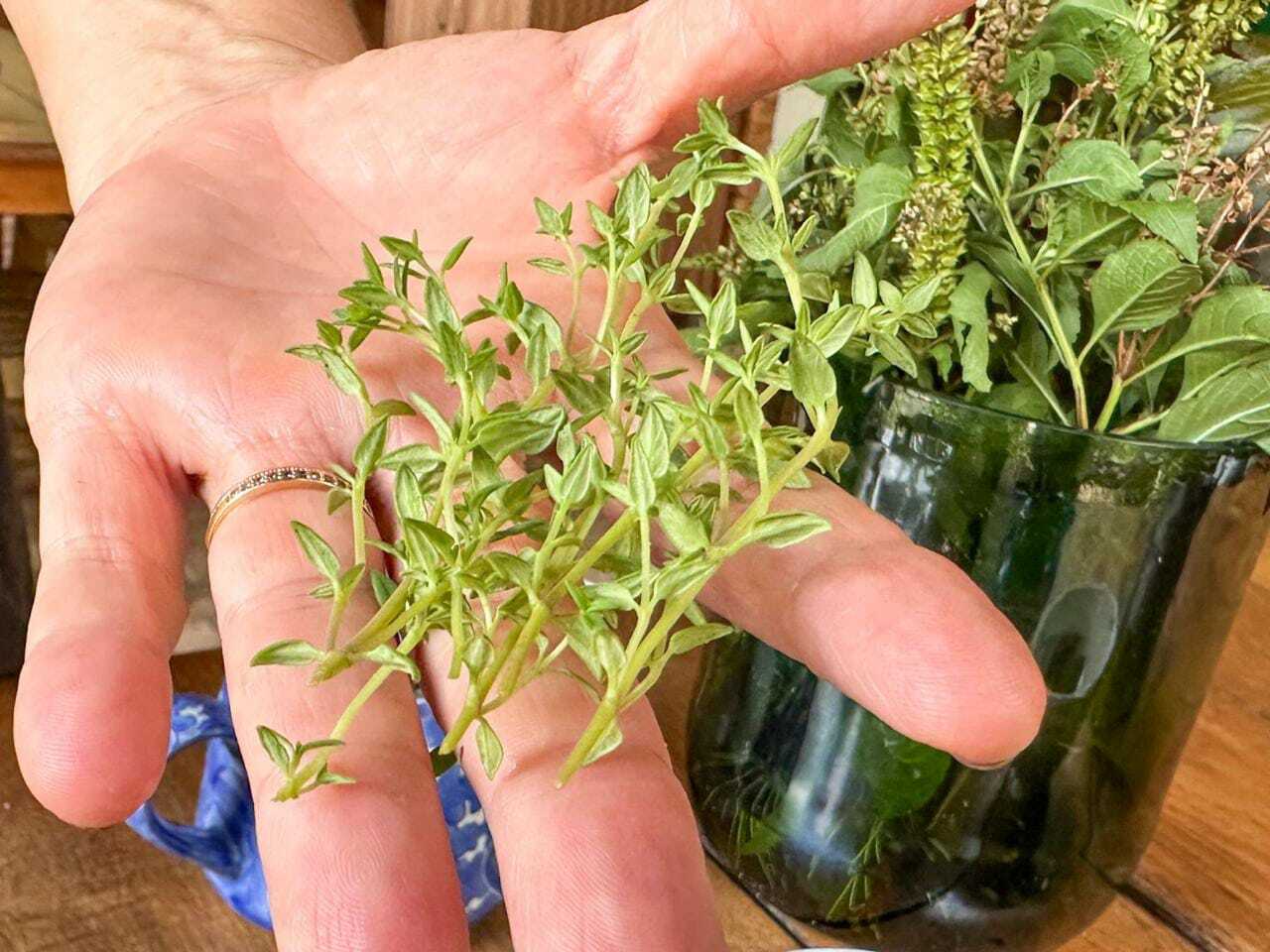 Dica de Especialista: Tomilho Fresco vs. Tomilho Seco - Qual o Melhor? - inspiração 1