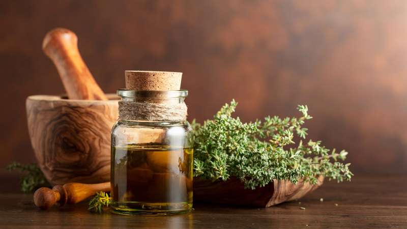 Dica de Especialista: Tomilho Fresco vs. Tomilho Seco - Qual o Melhor? - inspiração 3