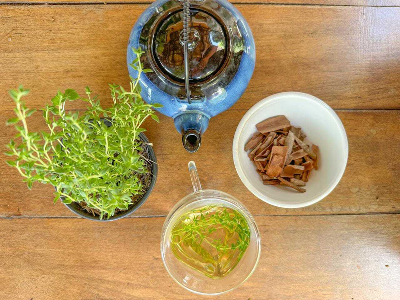 Como Usar: Inalação com Tomilho para Descongestionar as Vias Aéreas - inspiração 2