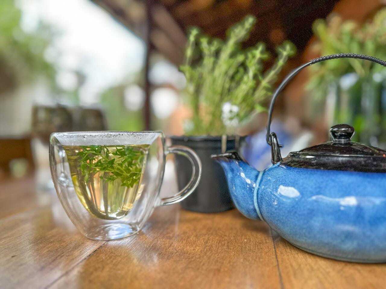 Receita Turbinada: Adicione Gengibre para um Chá Ainda Mais Potente - inspiração 1