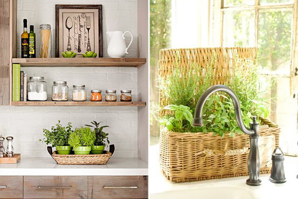 O Equilíbrio Perfeito: Como Não Deixar o Tempero Roubar a Cena - inspiração 2