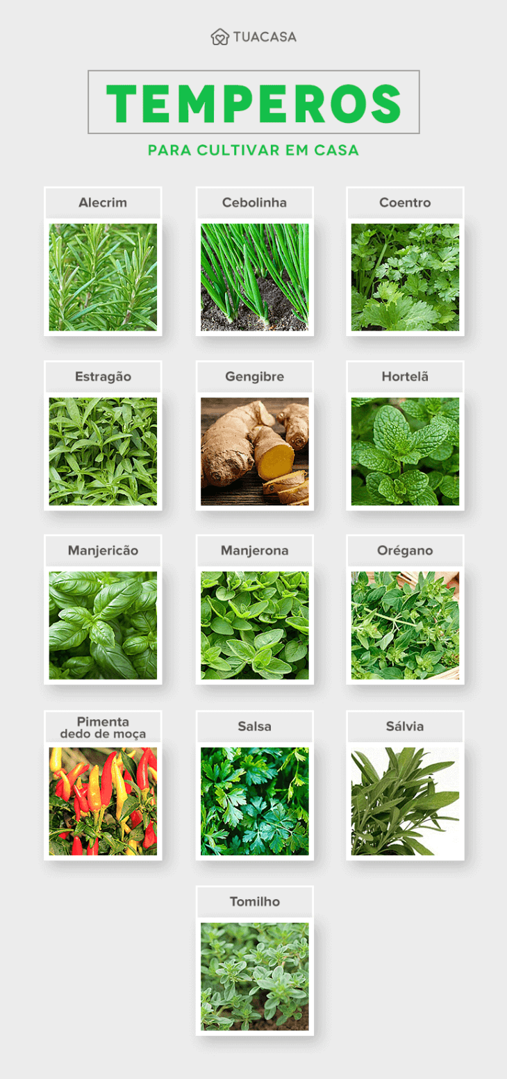 Explorando o Mundo: Sabores Árabes que Aconchegam - inspiração 2