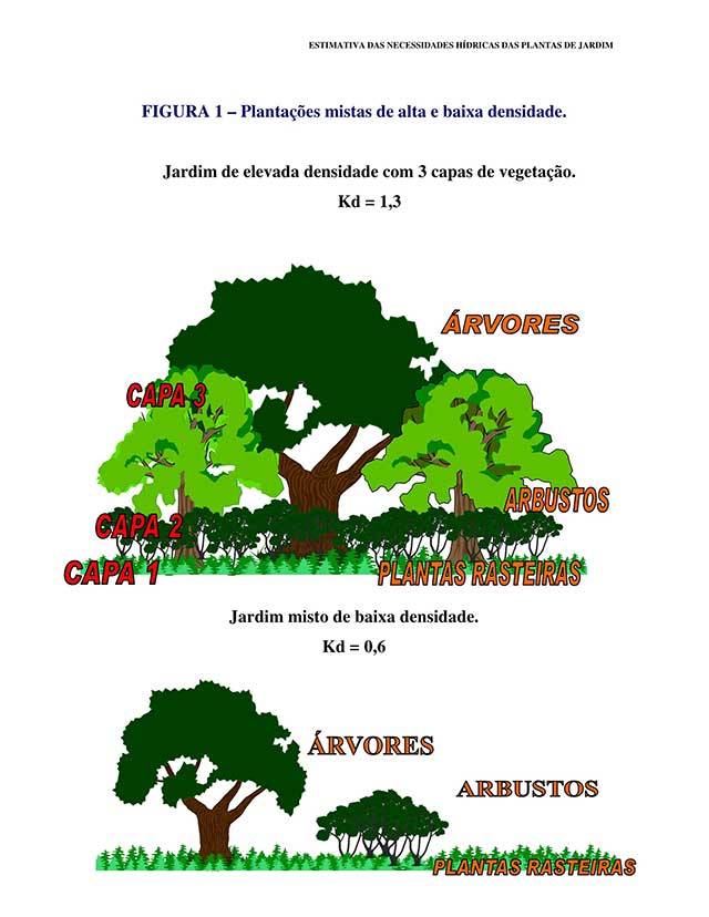 A Regra de Ouro da Hidratação Diária - inspiração 1