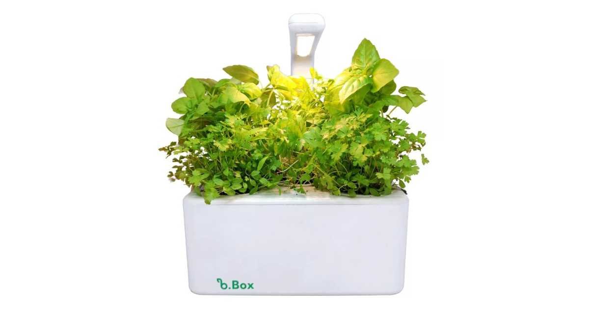 Tecnologia a Seu Favor: Ferramentas Simples para o Controle - inspiração 1