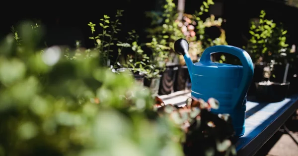 Tecnologia a Seu Favor: Ferramentas Simples para o Controle - inspiração 3