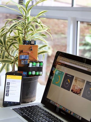 A Influência do Solo na Sede da Planta - inspiração 1