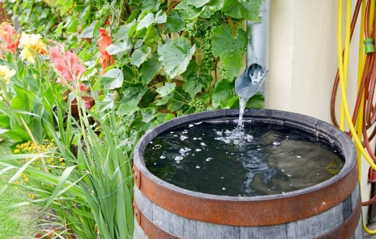 Observando o Clima: O Efeito da Evapotranspiração - inspiração 2