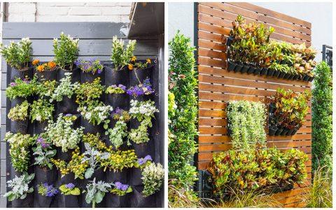 A Sede Individual: Entendendo o Coeficiente da Cultura (Kc) - inspiração 3