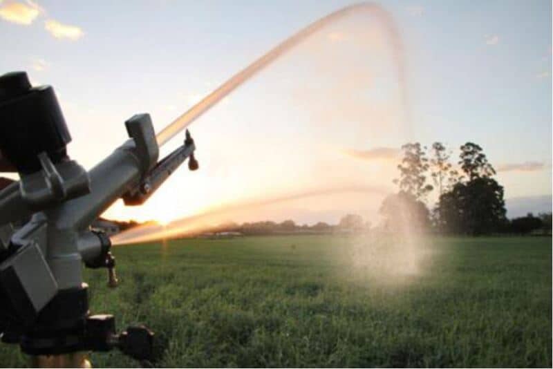 Avaliando a Umidade: O Toque do Dedo no Solo - inspiração 1