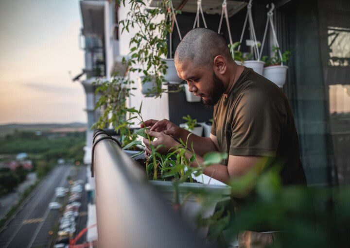 Profundidade Faz a Diferença: Rega que Nutre - inspiração 2