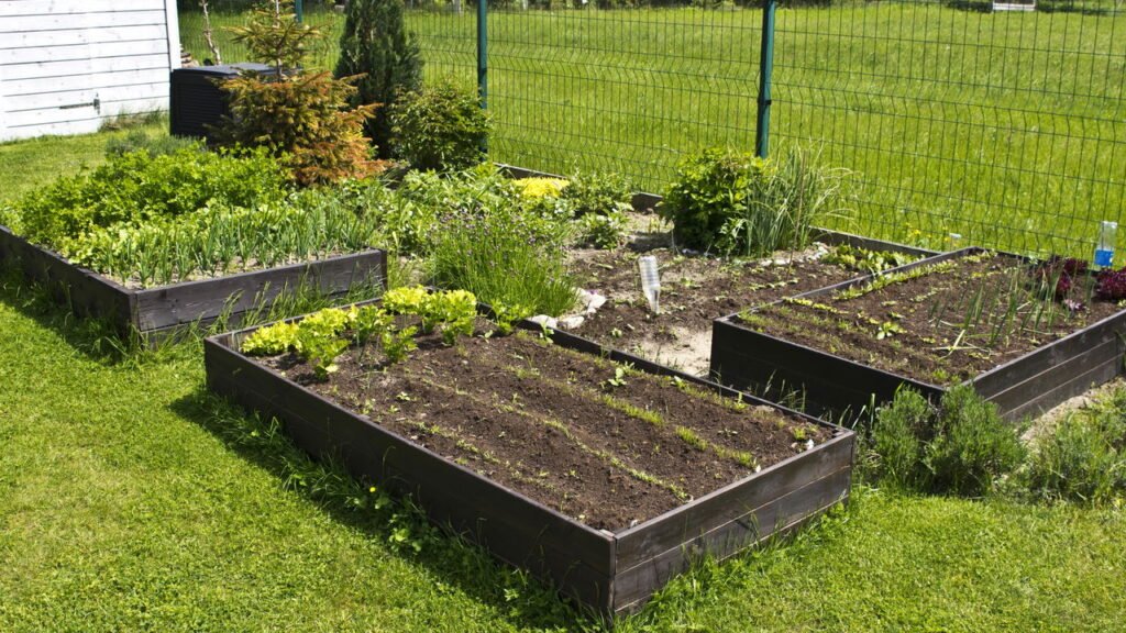 Preparando o Solo: Dicas para Melhorar a Retenção Hídrica - inspiração 1